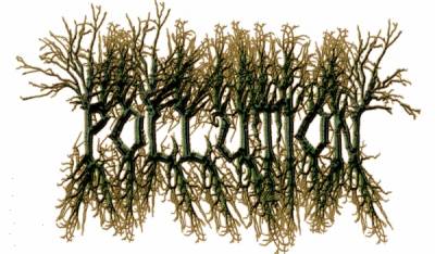 logo Pollution (USA)